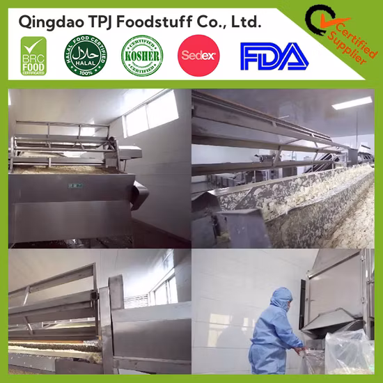 Frozen Crushed Garlic & Ginger Mixed Puree